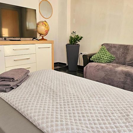 Gaesteappartement Viktoria Sinsheim Extérieur photo